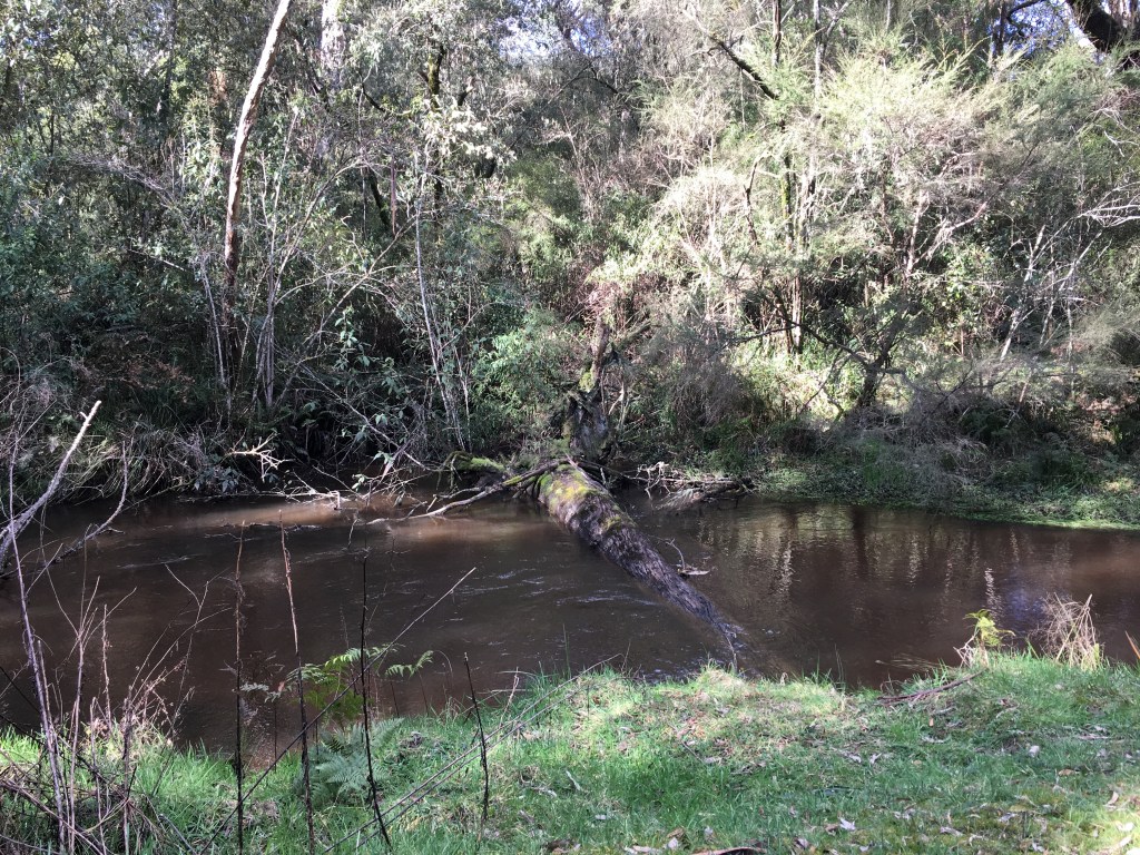 Myth busting: Thoughts